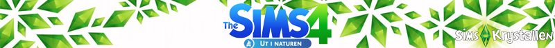 TS4_infoside_logo