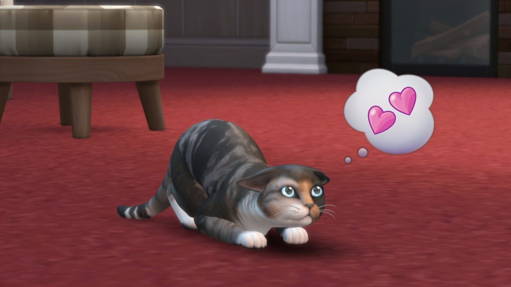 TS4_EP04_CAT_PERSONALITY
